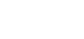 bulletrun białe logo